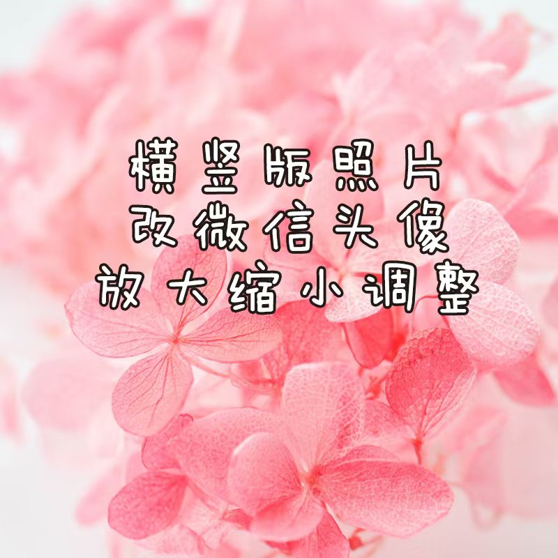 微信图片_20240522164845.jpg